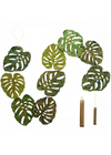 Hanging Garland Monstera